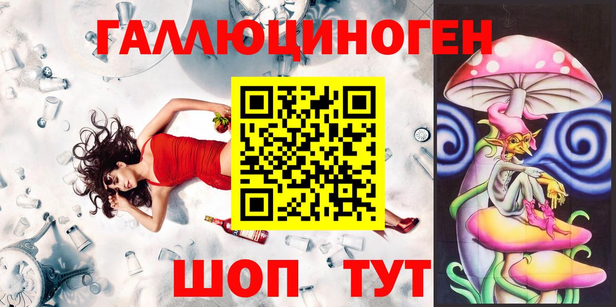 Галлюциногенные грибы Psilocybine cubensis Можга